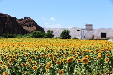 《紫塞秋风》制作团队心路历程纪录片 行走着自己的江湖人生