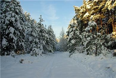 《超级幻想王国》10月开启抢先体验 肉鸽城防战斗