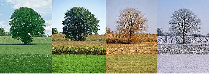 《时空勇者》重制版最终宣传片公布 游戏7月22日登录NS